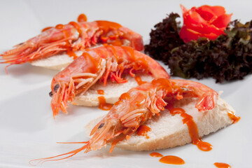 Close-up of shrimp starters