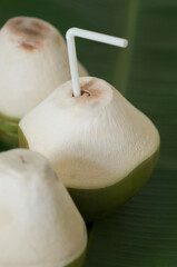 Close-up of green coconuts