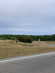 road to the countryside