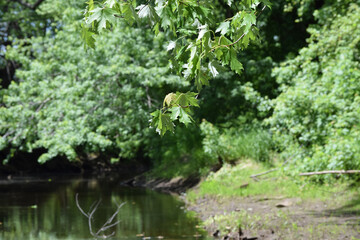 Obraz premium riverside