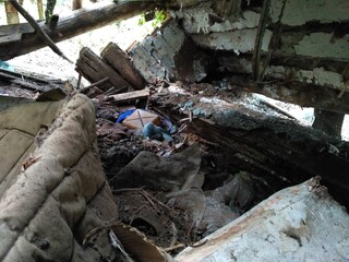 garbage in the forest