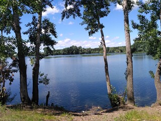 lake and forest