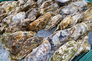 海産物