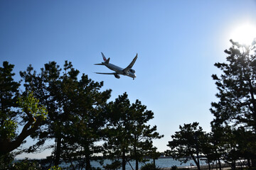 青空と飛行機