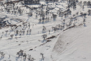 View from above. Agricultural fields in winter
