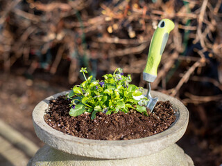 a flower urn with a garden trowel planting a pot of pansies