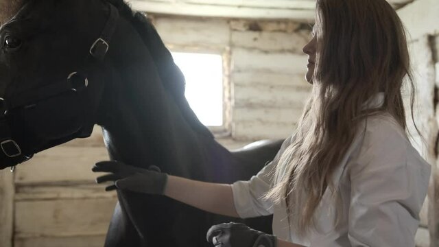 A girl in a white shirt and gloves puts a bridle on a horse