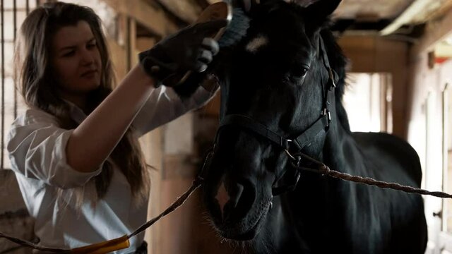Girl in a white shirt and gloves combing a horse