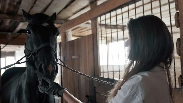 Girl in a white shirt and gloves stroking a horse