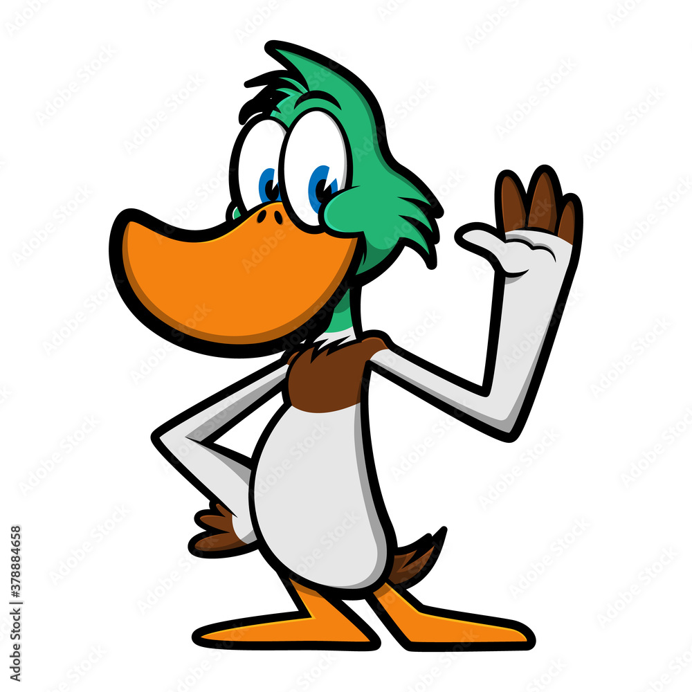 Wall mural Funny Male Mallard Ducks greeting with friendly posture best for kid illustration book Cartoon Vector