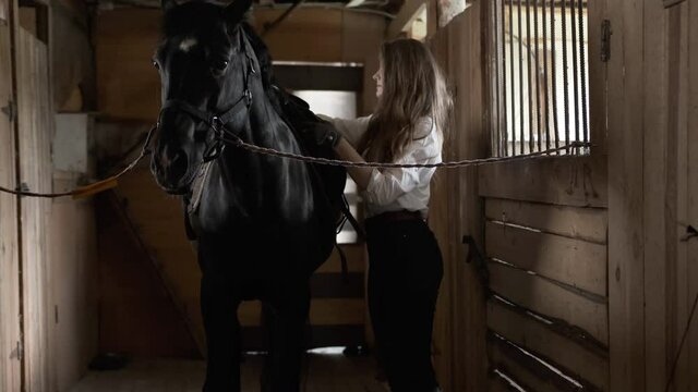 A girl in a white shirt and gloves throws a saddle on a horse
