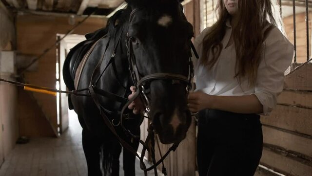 Girl in a white shirt tightens the bridle on a horse
