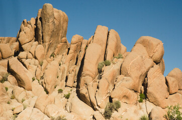 Lining up the huge rocks in Joshua Tree National Park.  Tookkk nature million of your to provide this repeating pattern of lines and shapes.  To travel destination/