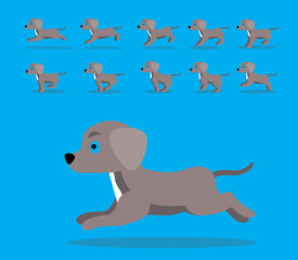 Animal Animation Sequence Dog Blue Lacy Cartoon Vector