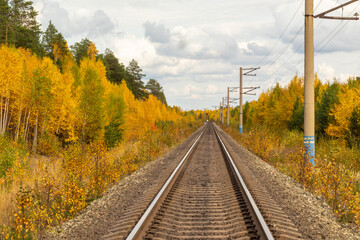 Fototapeta na wymiar Autumn landscape with colorful trees in the forest and railway