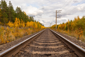 Fototapeta na wymiar Autumn landscape with colorful trees in the forest and railway