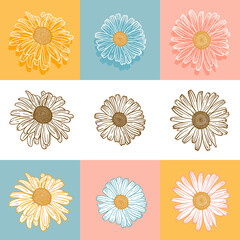 Vector Floral Set. Outline Vintage Daisy (Chamomile, Camomile) Flowers. Hand drawn Flower Sketch