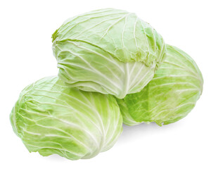 Obraz premium cabbage isolated on white background