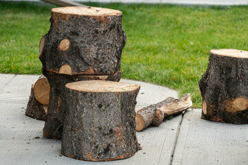 Logs of Wood used for firewood during winter