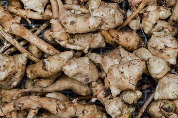 Jerusalem artichoke or ground pear (Helianthus tuberosus), fresh root vegetables, tubers lie on a wooden table.Healthy diet food for diabetics, debilitated people or vegetarians.