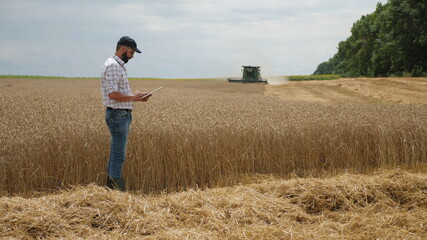 Naklejka na ściany i meble A farmer uses a digital tablet pc while standing near a wheat field, a combine-harvester is working in the background. Harvest time