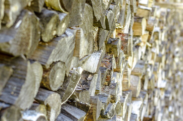 woodshed in the village