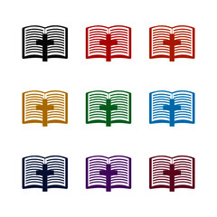 Wooden Christian cross on holy Bible icon, color set