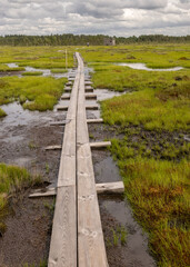 Fototapeta na wymiar a pedestrian wooden footbridge over swamp wetlands with small pines. bog plants and ponds, a typical West-Estonian bog. Nigula Nature Reserve