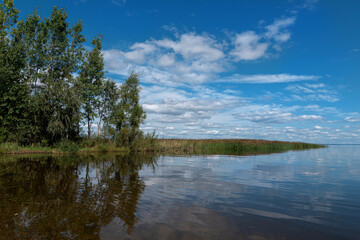reflection of trees in water