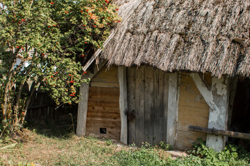 old thatched cottage in the forest