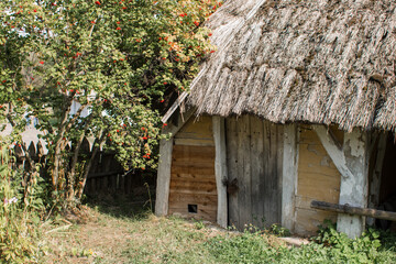 old thatched cottage in the forest