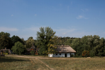 old thatched cottage in the forest