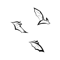 Vector illustration of bats set. Three black and white bats in different poses