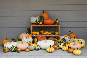 pumpkins and gourds