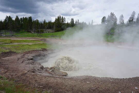 Steam coming from the ground in Yellowstone