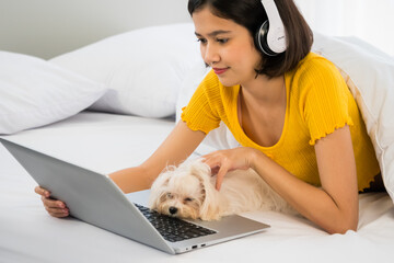 Asian woman using a laptop computer and lying on a bed with shihtzu dog