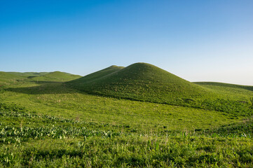 landscape with field and sky
