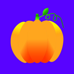 large pumpkin on a purple background. Vector illustration.