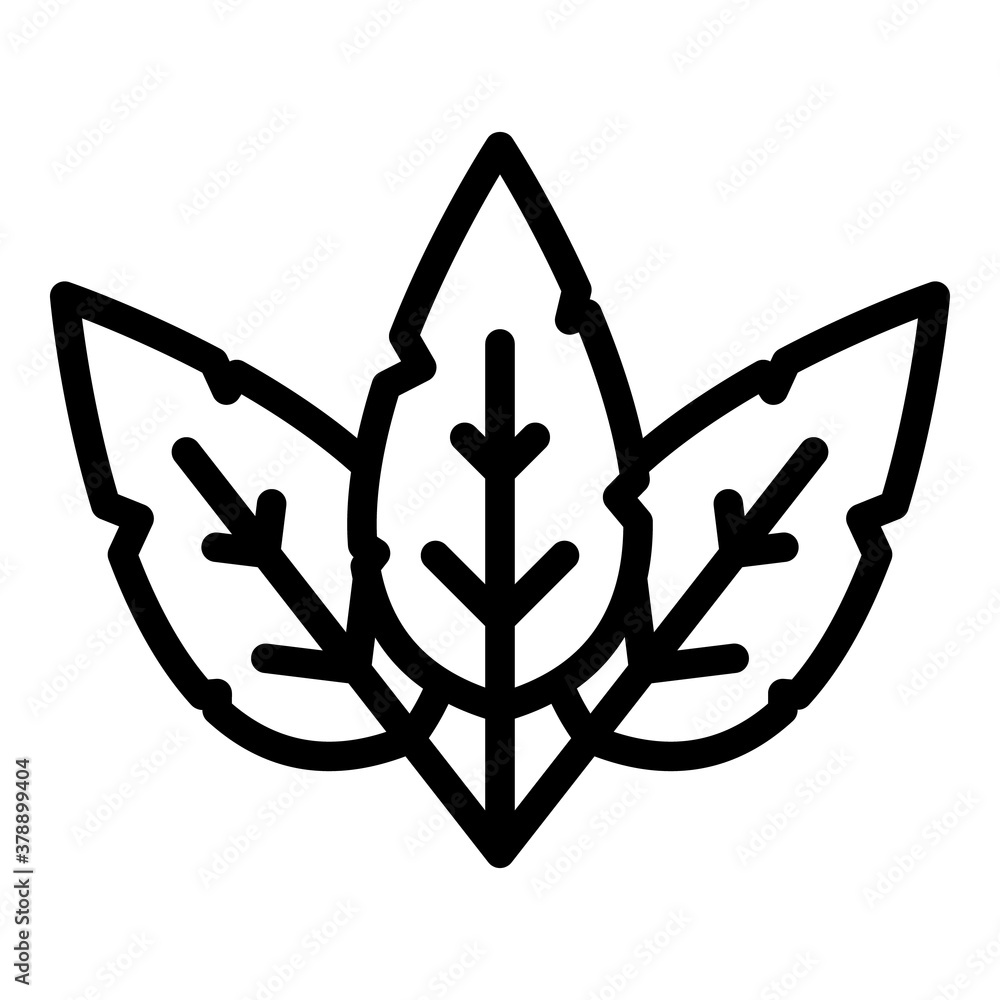 Poster basil delicious icon. outline basil delicious vector icon for web design isolated on white backgroun