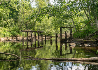 a small forest river, old bridge site, old wooden logs in the water, low river calm, summer forest river reflection landscape.