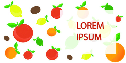 Citrus on a white background, orange, lemon, lime, grapefruit, kiwi, banner, vector graphics.