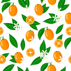 Vector cartoon seamless pattern with Fortunella or Kumquat exotic fruits, flowers and leafs on white background