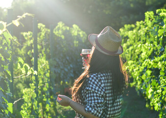 Young beautiful smiling woman walking at wineyard with a glass of red wine.Wine tourism