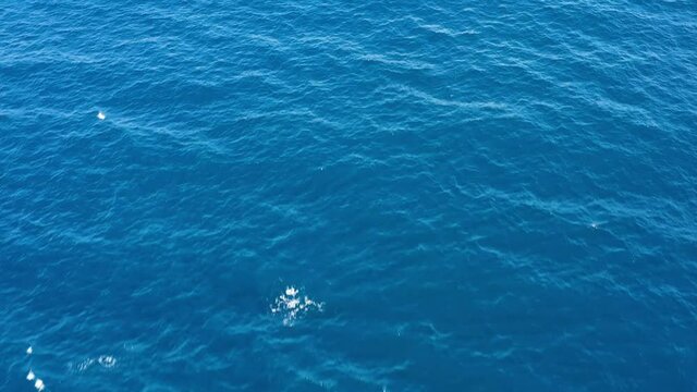 Top view of blue ocean with wave. Glare of the sun on blue sea water.