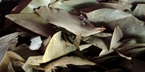 Indian raw food spice ingredients.