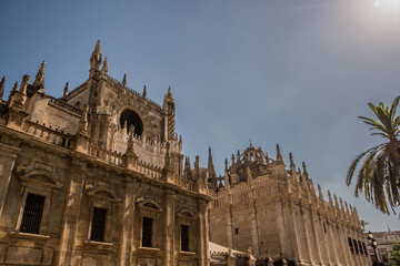 Fototapeta na wymiar Cattedrale di Porto Oporto con cielo nuvoloso e gabbiano. 