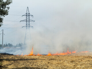 On the field after harvesting grain crops burning stubble and straw. Factors causing smoke in...