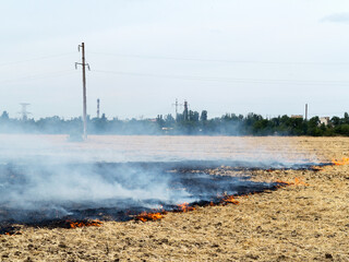 On the field after harvesting grain crops burning stubble and straw. Factors causing smoke in...