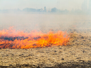 On the field after harvesting grain crops burning stubble and straw. Factors causing smoke in...