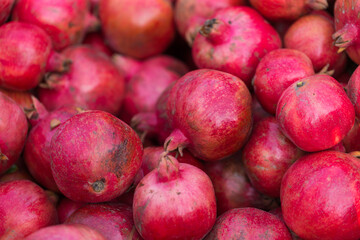 Fall pomegranate harvest